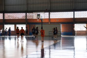 Foto - Xl JEPSSUL - 01/10