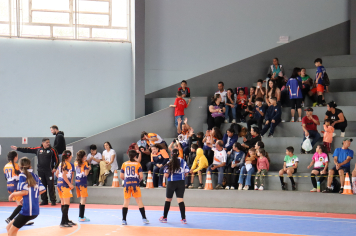 Foto - Xl JEPSSUL - 01/10