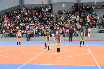 Foto - Xl JEPSSUL - 01/10