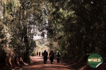 Foto - II Caminhada na Natureza - Piraí do Sul