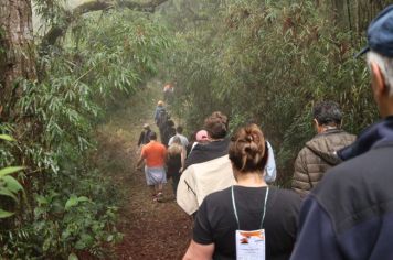 Foto - 1ª Caminhada Internacional no Circuito Cerro da Onça de Piraí do Sul foi sucesso