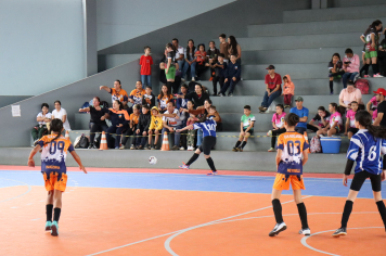 Foto - Xl JEPSSUL - 01/10