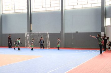 Foto - Xl JEPSSUL - 01/10