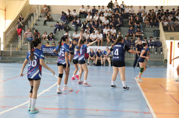 Foto - Xl JEPSSUL - 01/10