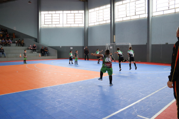 Foto - Xl JEPSSUL - 01/10