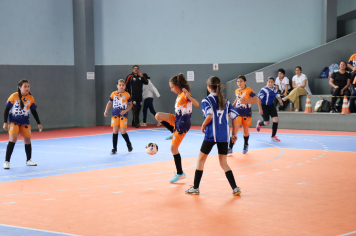 Foto - Xl JEPSSUL - 01/10