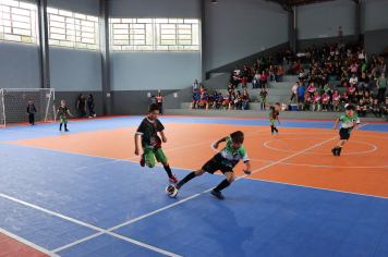 Foto - Xl JEPSSUL - 01/10