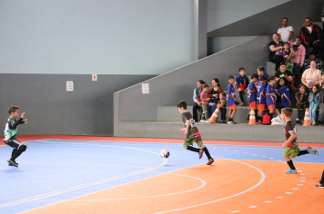 Foto - Xl JEPSSUL - 01/10