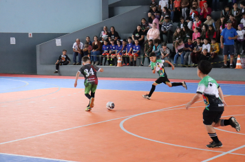 Foto - Xl JEPSSUL - 01/10