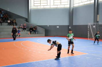 Foto - Xl JEPSSUL - 01/10