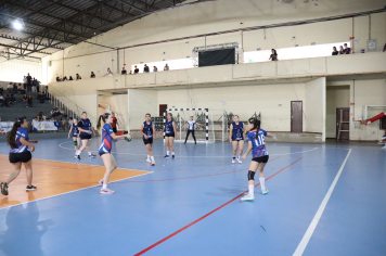 Foto - Xl JEPSSUL - 01/10