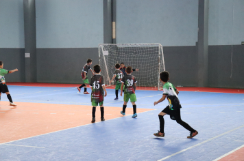 Foto - Xl JEPSSUL - 01/10