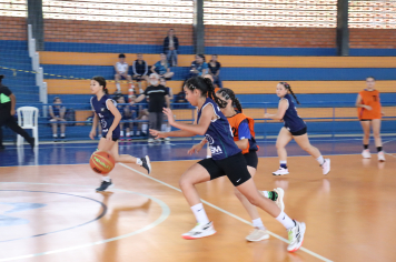 Foto - Xl JEPSSUL - 01/10