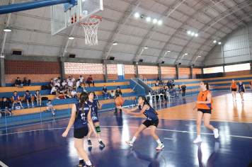 Foto - Xl JEPSSUL - 01/10