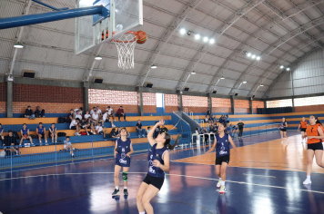 Foto - Xl JEPSSUL - 01/10