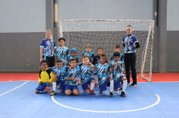 Foto - Xl JEPSSUL - 01/10