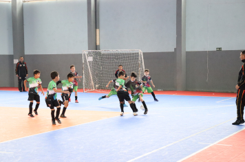 Foto - Xl JEPSSUL - 01/10