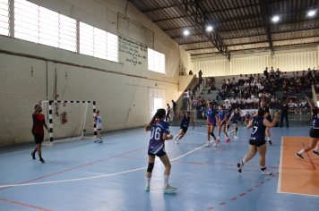 Foto - Xl JEPSSUL - 01/10