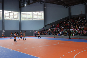 Foto - Xl JEPSSUL - 01/10