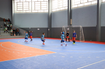 Foto - Xl JEPSSUL - 01/10