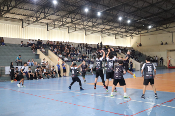 Foto - Xl JEPSSUL - 01/10