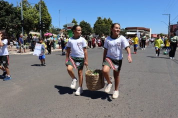 Foto - Desfile Cívico dos 145 anos de Piraí do Sul