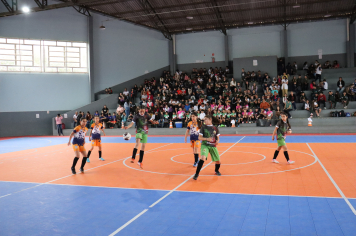 Foto - Xl JEPSSUL - 01/10