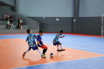 Foto - Xl JEPSSUL - 01/10