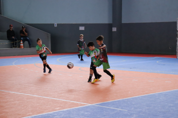 Foto - Xl JEPSSUL - 01/10