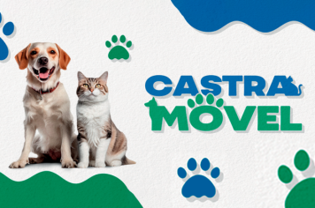 Prefeitura inicia segunda fase do programa de esterilização de cães e gatos com a operacionalização do Castramóvel