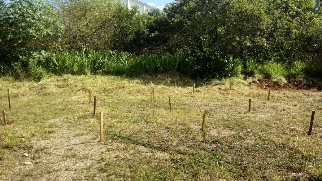 Grupo de Escoteiros plantou árvores nas margens do Rio Piraizinho