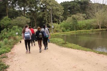 Foto - 1ª Caminhada Internacional no Circuito Cerro da Onça de Piraí do Sul foi sucesso