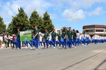 Foto - Desfile Cívico 2024