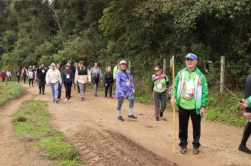 Foto - 1ª Caminhada Internacional no Circuito Cerro da Onça de Piraí do Sul foi sucesso