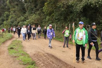 Foto - 1ª Caminhada Internacional no Circuito Cerro da Onça de Piraí do Sul foi sucesso