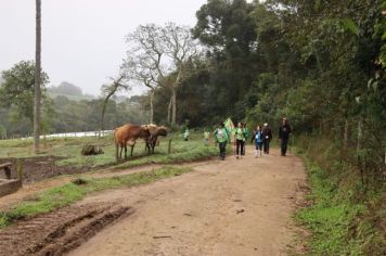 Foto - 1ª Caminhada Internacional no Circuito Cerro da Onça de Piraí do Sul foi sucesso