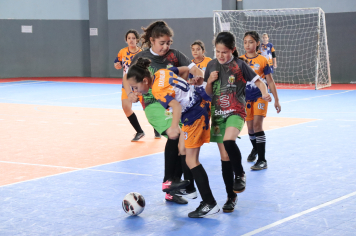 Foto - Xl JEPSSUL - 01/10