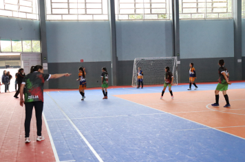 Foto - Xl JEPSSUL - 01/10