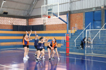 Foto - Xl JEPSSUL - 01/10