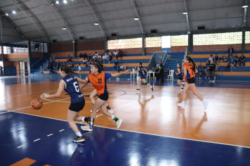 Foto - Xl JEPSSUL - 01/10