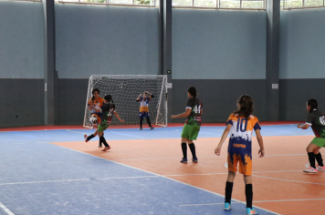 Foto - Xl JEPSSUL - 01/10