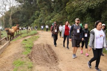 Foto - 1ª Caminhada Internacional no Circuito Cerro da Onça de Piraí do Sul foi sucesso