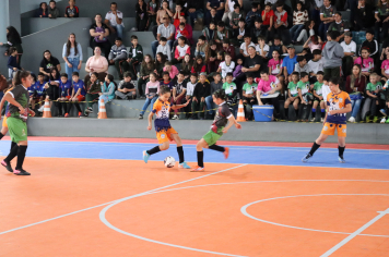 Foto - Xl JEPSSUL - 01/10