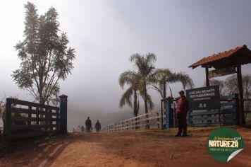 Foto - II Caminhada na Natureza - Piraí do Sul