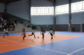 Foto - Xl JEPSSUL - 01/10