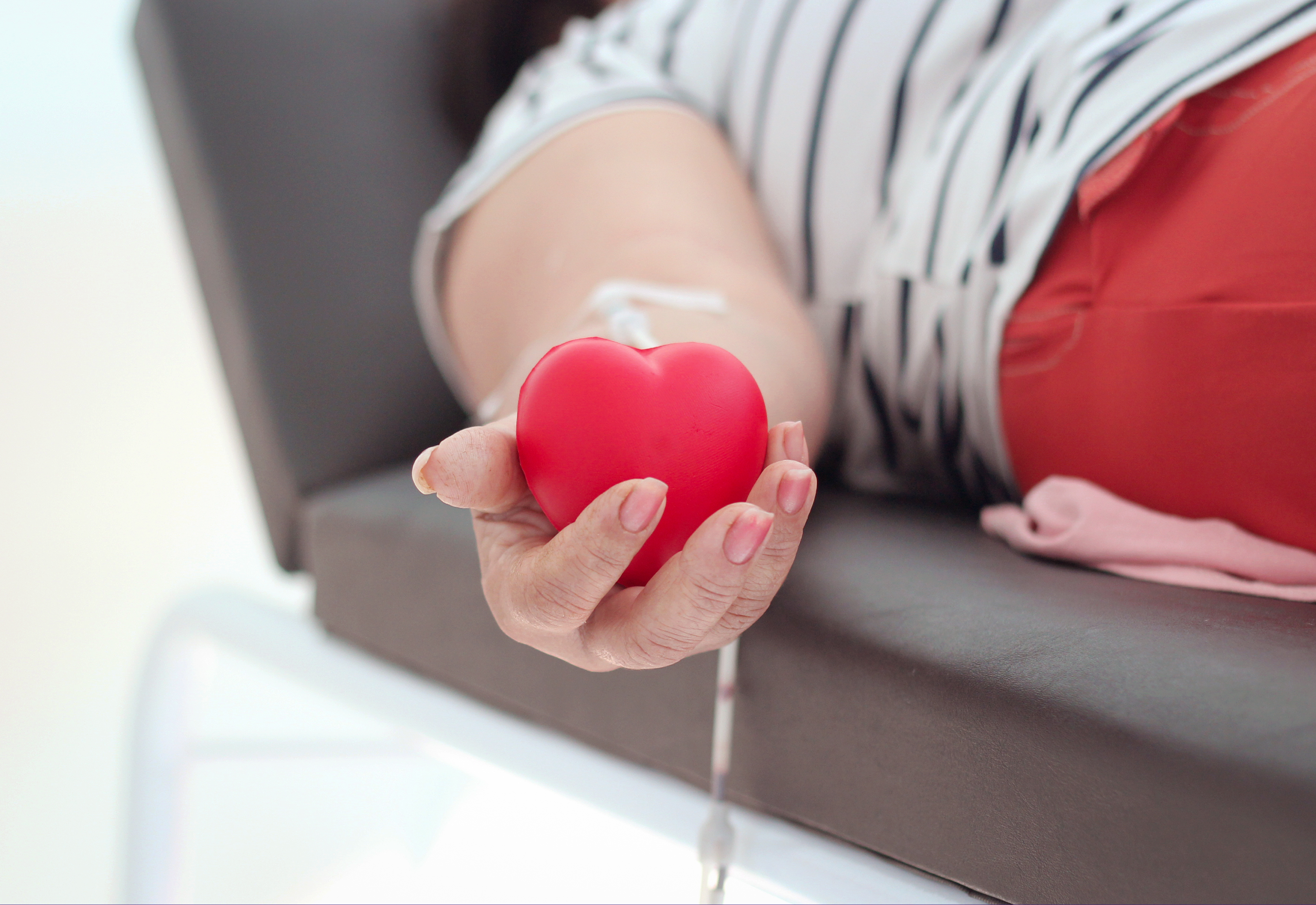 Prefeitura e Hemepar realizam campanha de doação de sangue com grande adesão em Piraí do Sul